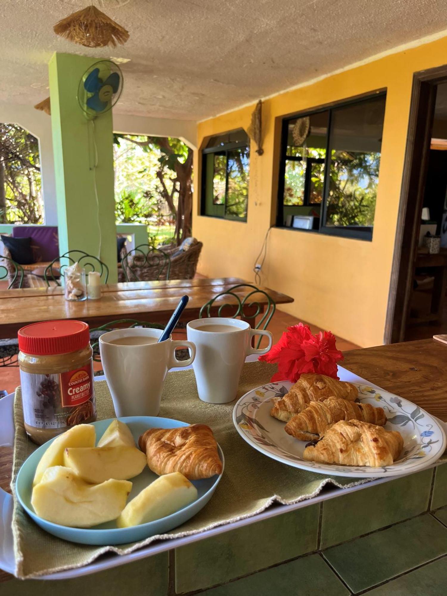 La Hacienda Guest House Las Galeras Extérieur photo