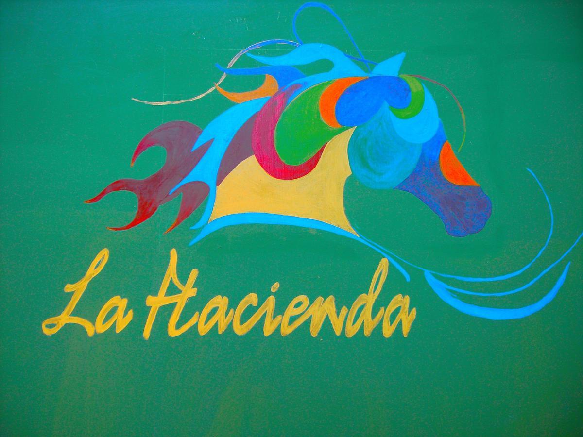 La Hacienda Guest House Las Galeras Extérieur photo